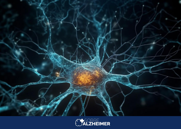 O Donanemab surgiu como uma luz no fim do túnel para muitos pacientes com Alzheimer leve. Em comparação com um placebo, a droga diminuiu o declínio cognitivo em 29% em pessoas com acumulação leve ou moderada das proteínas beta-amiloide e tau.